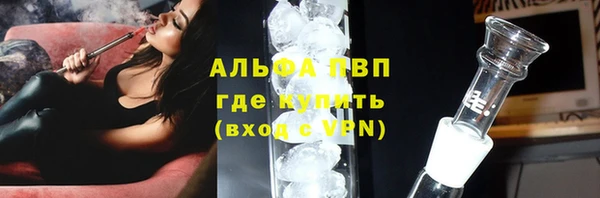 ГАЛЛЮЦИНОГЕННЫЕ ГРИБЫ Карталы