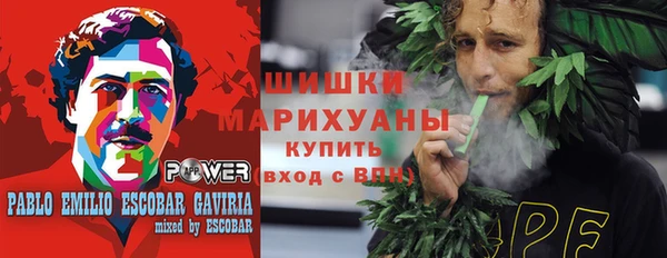 ГАЛЛЮЦИНОГЕННЫЕ ГРИБЫ Карталы