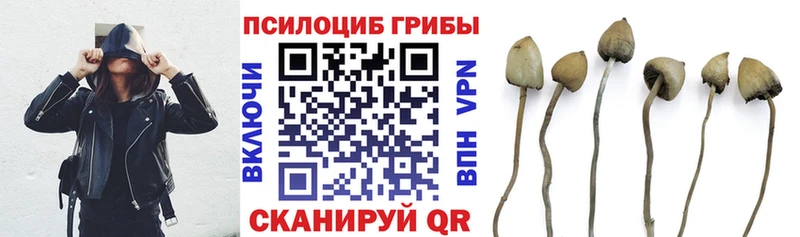 Псилоцибиновые грибы прущие грибы  MEGA ссылки  Смоленск 
